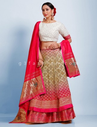 Olive and white half n half Bandhej designer lehenga choli for weddings