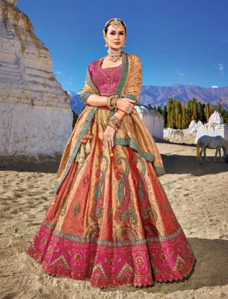 Multi color banarasi silk lehenga choli