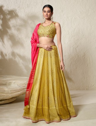 Elegant olive lehenga choli in georgette